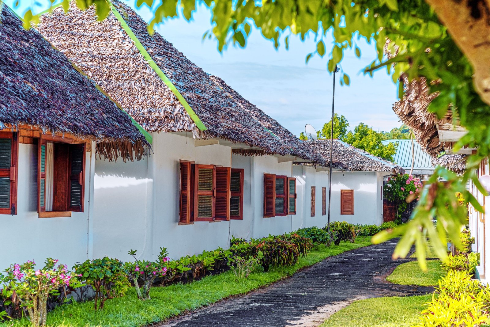 Nos bungalows